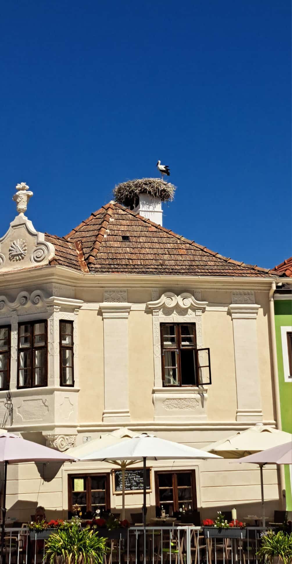 A stork stands on a nest atop a chimney on a traditional European house with ornate windows and a brown roof under a clear blue sky.