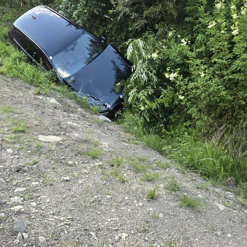 Ein schwarzes Auto ist auf einem Hang umgekippt, mit eingeschlagener Front. Grüne Pflanzen umgeben das Fahrzeug, und Steine und Gras bedecken den Boden.