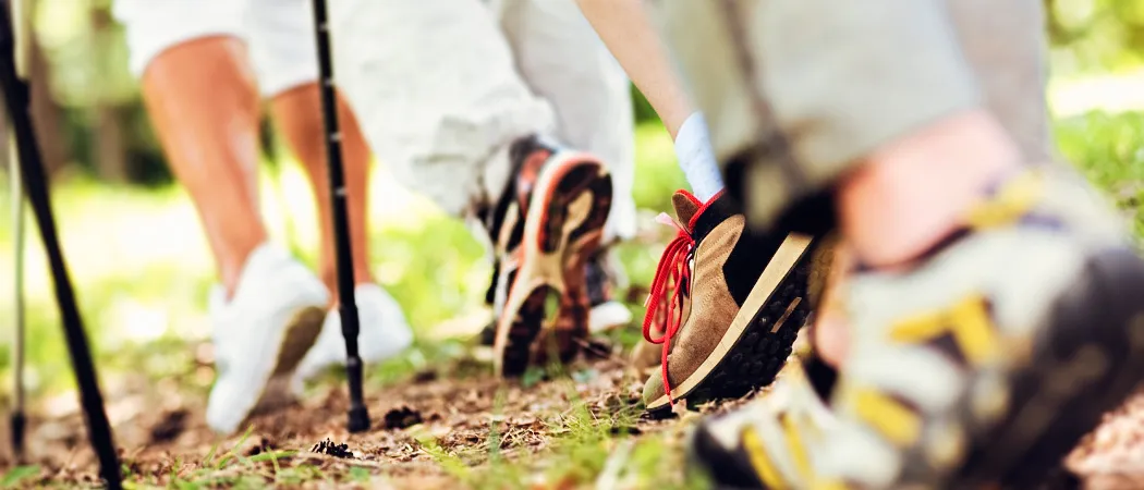 Eine Gruppe von Wanderern mit Trekkingstöcken geht auf einem Grasweg. Ihre Schuhe sind sichtbar, und sie tragen Socken. Das Bild ist leicht verschwommen.