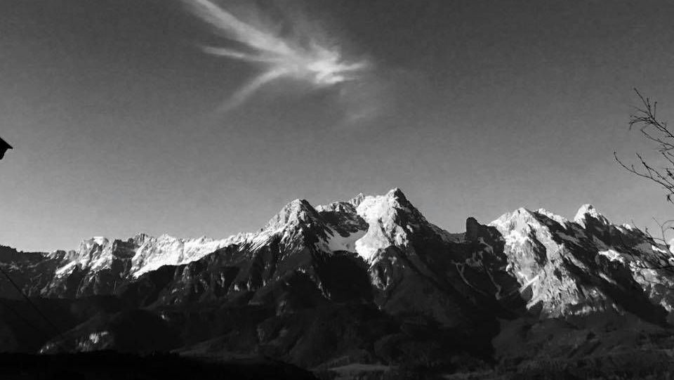 v1_migrated_image_15374202