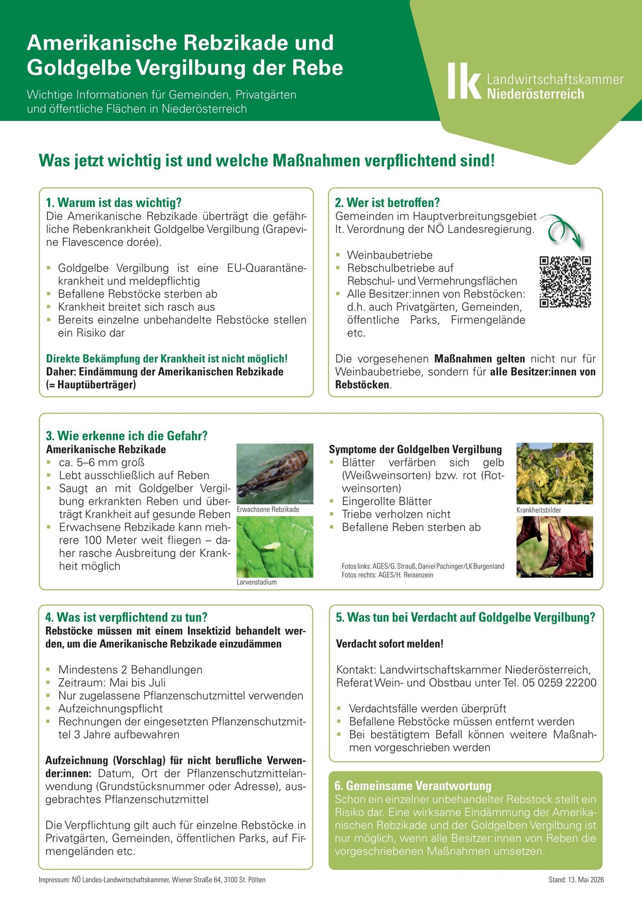 Wichtige Informationen und erforderliche Maßnahmen werden angezeigt. Die Amerikanische Rebzikade überträgt die gefährliche Rebenkrankheit Goldgelbe Vergilbung (Grapevine Flavescence Dorée). Gelbverfärbung der Blätter und Welken sind Symptome. Befallene Pflanzen sterben ab. Direkte Bekämpfung der Krankheit ist nicht möglich. Pflanzen müssen mit einem Insektizid behandelt werden. Verdachtsfälle müssen gemeldet werden.