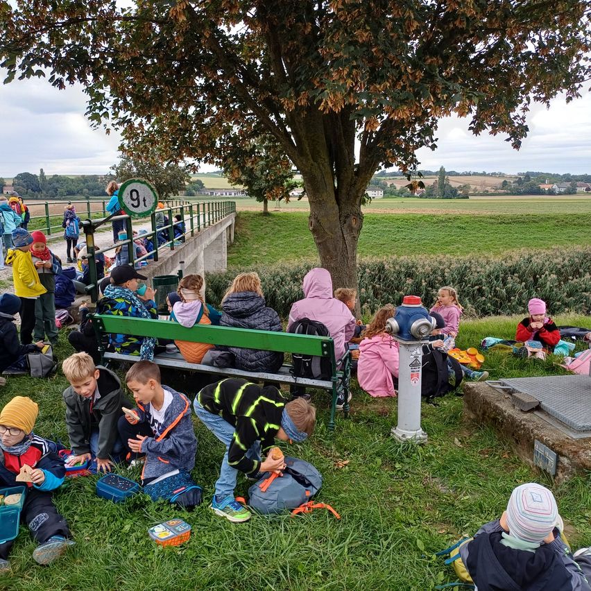 Kinder sitzen auf dem Gras, einige essen und andere spielen. Eine Bank und ein Feuerhydrant sind in der Nähe.