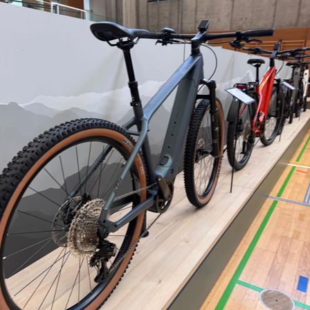 Mehrere Fahrräder, darunter ein graues und ein rotes, sind auf einem hölzernen Boden mit Bergkulisse ausgestellt.