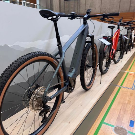 Mehrere Fahrräder, darunter ein graues und ein rotes, sind auf einem hölzernen Boden mit Bergkulisse ausgestellt.