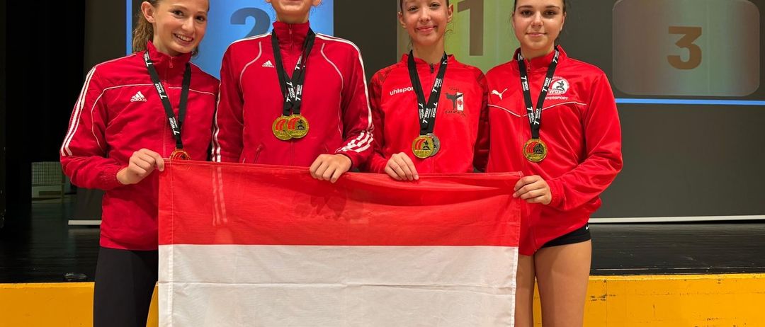 Bild enthält, Adult, Female, Person, Woman, Austria Flag, Flag, Face, Head