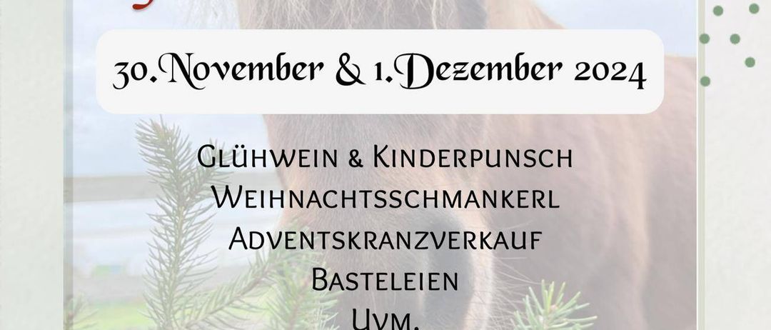Advertisement, Poster, Business Card, Paper, Text, Plant, Tree