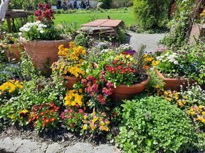 Ein Garten mit mehreren großen Blumentöpfen bunter Blumen. Im Hintergrund ist ein Rasenbereich mit einigen Holzstrukturen und Menschen zu sehen.
