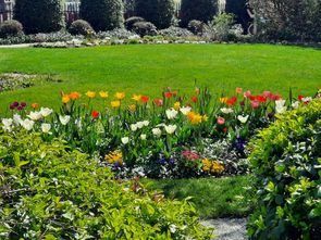 Ein farbenfroher Garten mit einer Mischung aus bunten Tulpen, grünem Gras und verschiedenen Büschen. Die Tulpen sind in Rot-, Gelb- und Weißtönen.