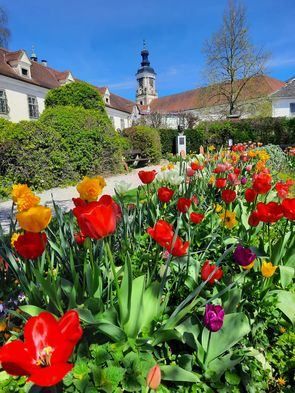Ein farbenfroher Garten mit roten, gelben und lila Tulpen blüht vor einem historischen Gebäude mit Turm, unter blauem Himmel.