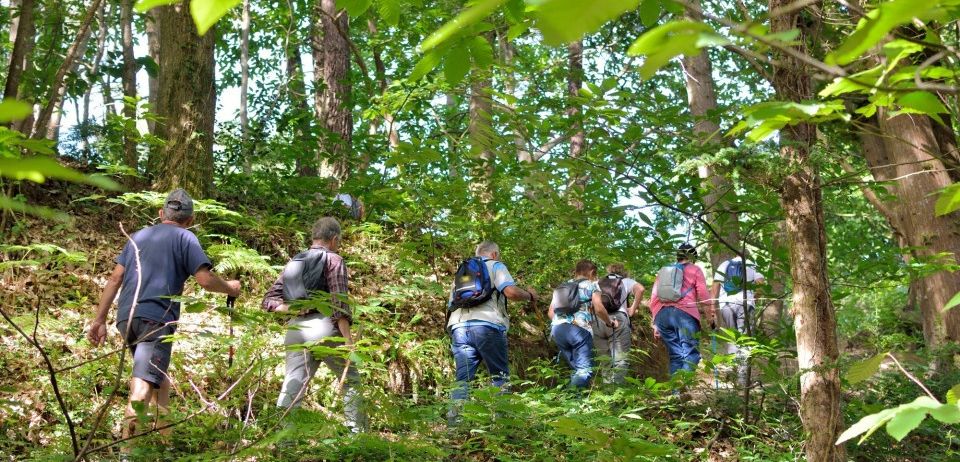 Eine Gruppe von Wanderern navigiert einen anspruchsvollen Pfad in einem dichten Wald, trägt Rucksäcke und Trekkingstöcke.