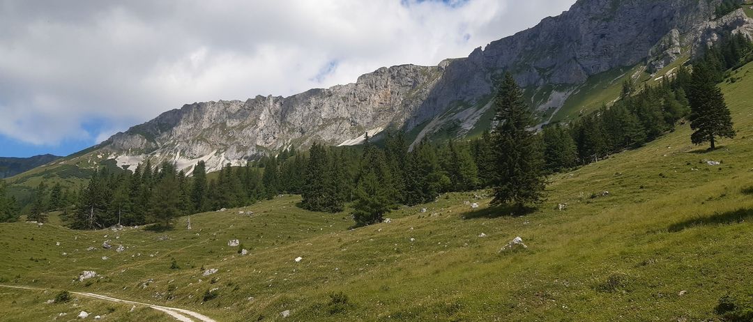 Ein gewundener Pfad durch einen grasigen Berghang mit verstreuten Bäumen und Felsvorsprüngen. Berge im Hintergrund unter einem blauen Himmel mit Wolken.