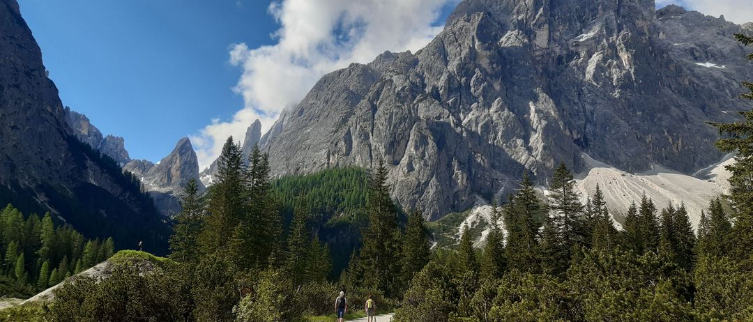 Ein Bergweg mit zwei Wanderern. Grüne Bäume säumen den Pfad, mit Bergen und blauem Himmel im Hintergrund.