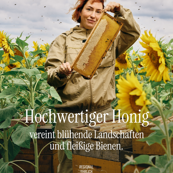 Eine Frau in einem Sonnenblumenfeld hält ein Bienenhaus und zeigt hochwertigen Honig und fleißige Bienen.