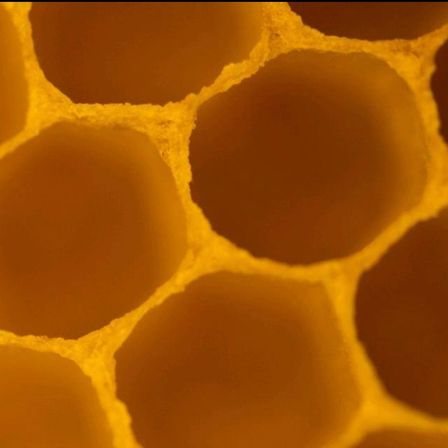 Eine Nahaufnahme einer Bienenwabenstruktur mit sechseckigen Zellen, die das komplizierte Design und die warmen, goldenen Töne zeigt.