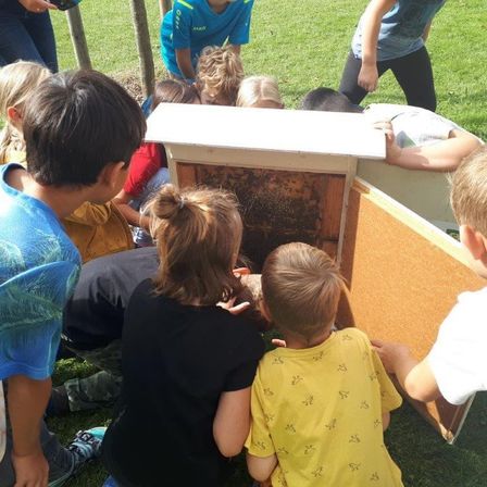 Eine Gruppe von Kindern und Erwachsenen versammelt sich um einen Bienenstock und beobachtet die Bienen genau. Einige kauern sich hinunter, während andere dahinter stehen. Der Ort ist ein Rasen mit einem Baum im Hintergrund.