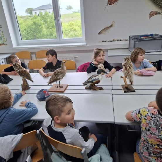 Ein Klassenzimmer mit mehreren Kindern, die um einen Tisch herum sitzen und Vogelstatuen betrachten, mit einem Fenster, das einen Blick auf Bäume und ein Haus im Hintergrund zeigt.