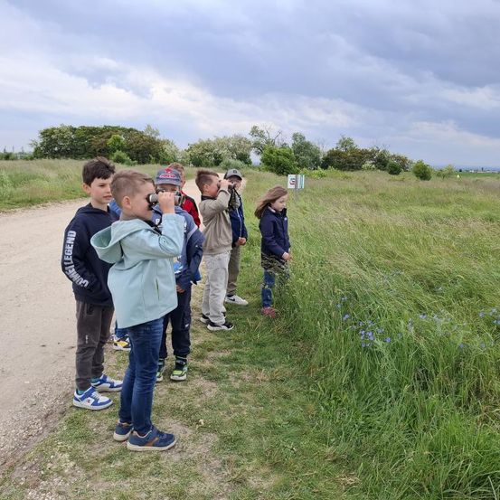 Eine Gruppe von Kindern mit Ferngläsern steht auf einem Feldweg und beobachtet etwas im Grasfeld. Sie tragen Jacken und Turnschuhe. Ein Schild steht im Grasfeld. Der Himmel ist bewölkt.