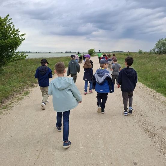 Kinder in Jacken und Sneakers gehen einen Schotterweg entlang und schauen auf einen See und Bäume. Einige Erwachsene folgen ihnen.