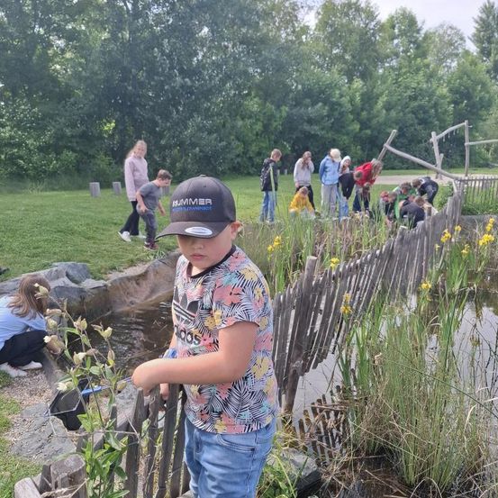 Kinder und Erwachsene befinden sich in einem Park am Teich mit gelben Blumen. Ein Junge mit einem Netz schaut ins Wasser.