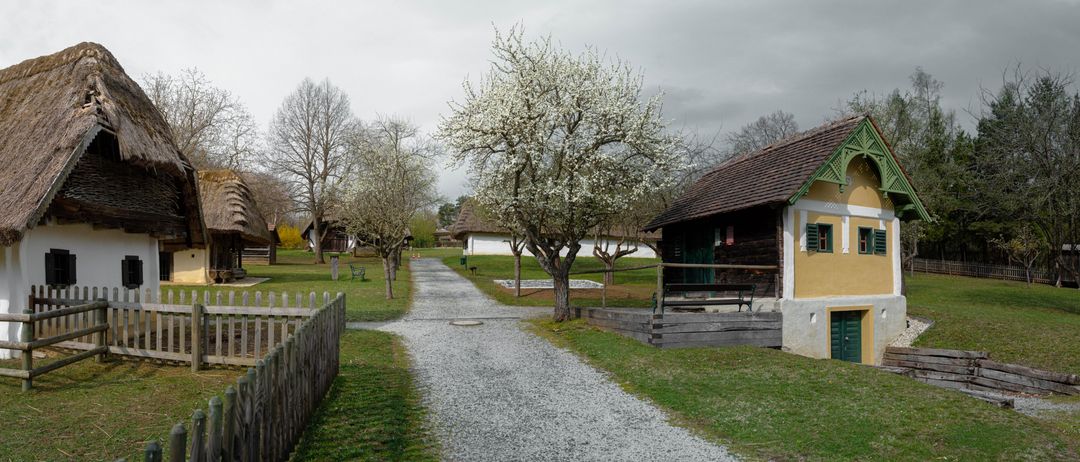 Ein Kiesweg führt zu einem Haus mit braunem Dach und gelben Wänden, in der Nähe eines blühenden Baumes und einer Bank.