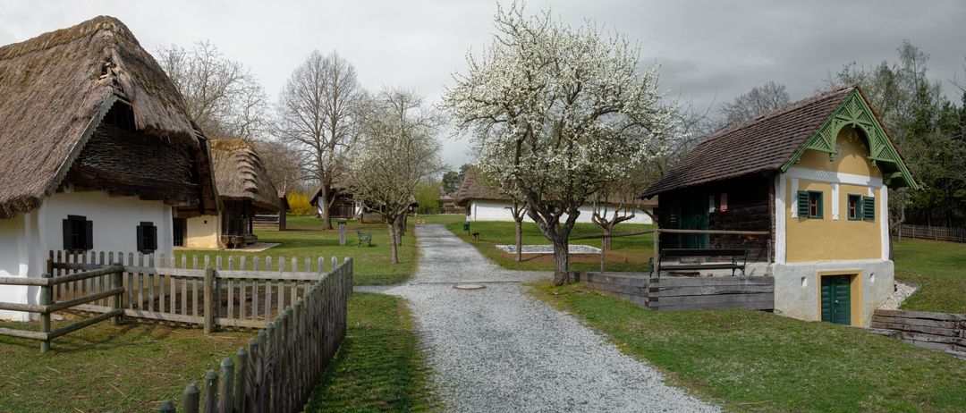Ein Kiesweg führt zu einem Haus mit braunem Dach, grünen Fensterläden und einer Bank neben einem blühenden Baum.