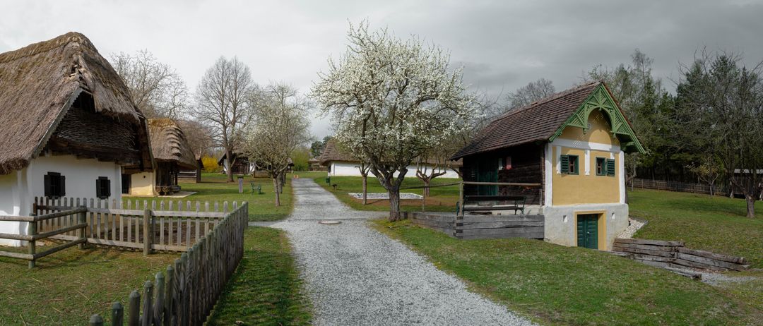 Ein Kiesweg führt durch eine ländliche Landschaft. Ein großer Baum mit weißen Blüten steht in der Mitte, und eine Bank ist rechts. Ein Holzhaus befindet sich auf der rechten Seite.