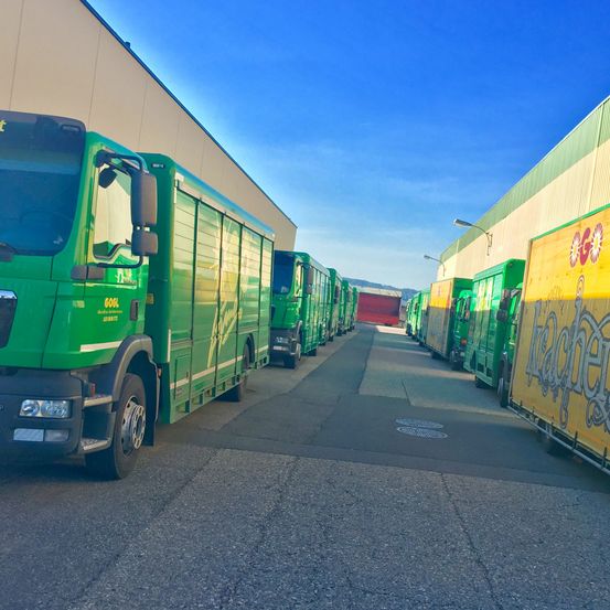 Bild enthält, Transportation, Truck, Vehicle, Machine, Wheel, Bus, Terminal, Road