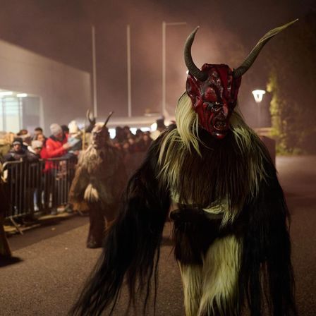 Bild enthält, Adult, Female, Person, Woman, Livestock, Animal, Cattle, Mammal, Festival