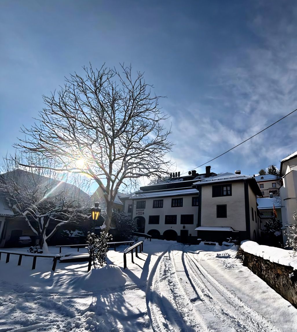 Ein mit Schnee bedecktes Haus mit einem Baum davor und einer Sonne, die durch die Äste scheint.