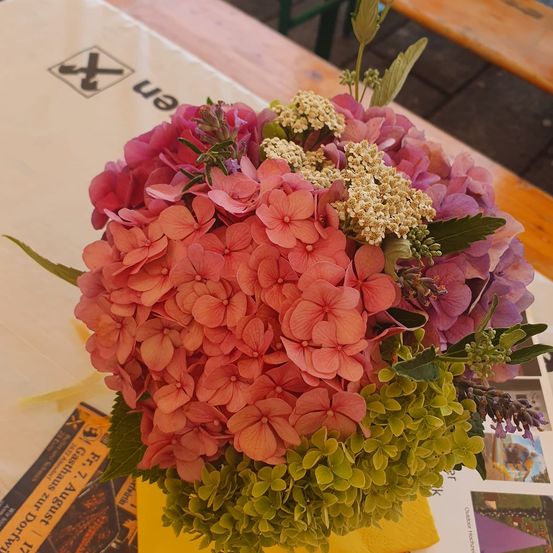 Ein leuchtender Strauß aus rosa und lila Hortensien mit grünen Blättern und weißen Blüten wird auf einem weißen Tuch präsentiert, möglicherweise bei einer Veranstaltung.
