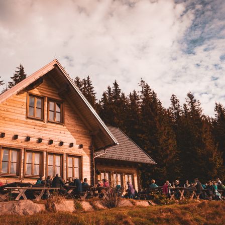 Bild enthält, Architecture, Building, Housing, House, Person, Cabin, Plant, Tree