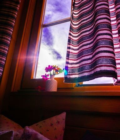 Bild enthält, Potted Plant, Purple, Cushion, Home Decor, Window, Flower, Petal, Windowsill, Pottery, Curtain