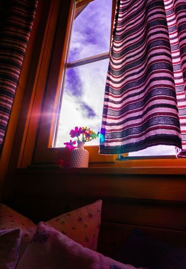 Bild enthält, Potted Plant, Purple, Cushion, Home Decor, Window, Flower, Petal, Windowsill, Pottery, Curtain
