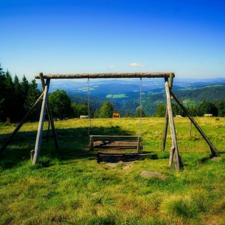 Bild enthält, Grass, Nature, Outdoors, Park, Scenery, Tree, Vegetation, Play Area, Cow, Outdoor Play Area