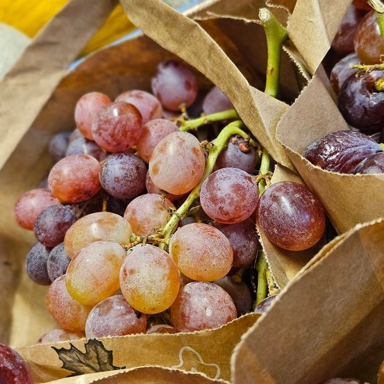 Eine Nahaufnahme mehrerer Traubenbündel in braunen Papiertüten, einige mit grünen Stielen, präsentiert in einer Marktumgebung.