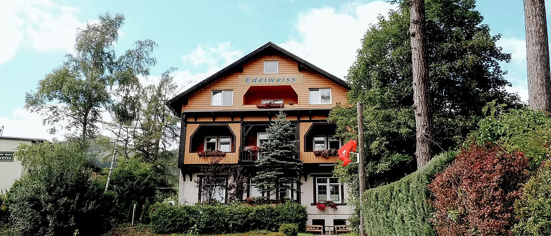 Das Edelweiss-Haus mit Holzfassade und mehreren Fenstern, umgeben von Bäumen und Grün, hat eine rote Fahne an einem Pfosten.