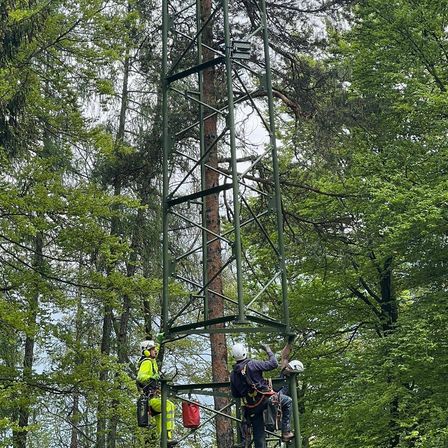Bild enthält, Person, Worker, Canoeing, Water Sports, Plant, Tree, Vegetation, Helmet, Woodland, Glove