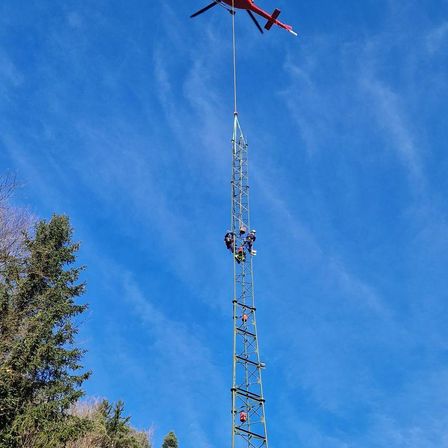 Bild enthält, Animal, Bird, Flying, Aircraft, Helicopter, Transportation, Vehicle, Plant, Tree, Outdoors