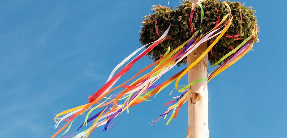 Bild enthält, Plant, Potted Plant, Animal, Bird