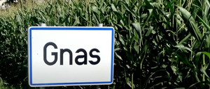 Ein weißes Schild mit den Buchstaben Gnas in Schwarz steht in einem Feld mit grünen Maispflanzen.