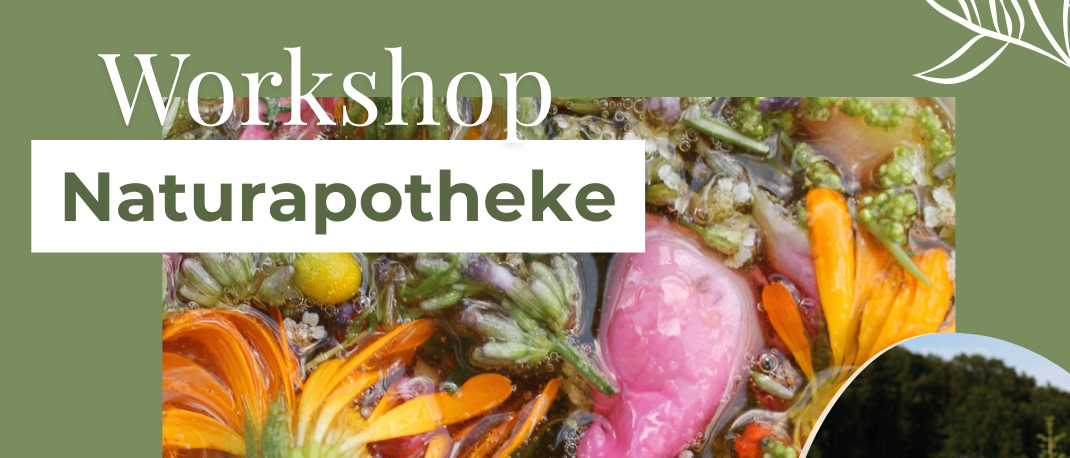 Workshop über natürliche Apotheke. Am 16. Mai 2026, von 10 bis 12:30 Uhr, lernen Sie, wie man Kräuterprodukte für Ihre eigene Naturapotheke herstellt.