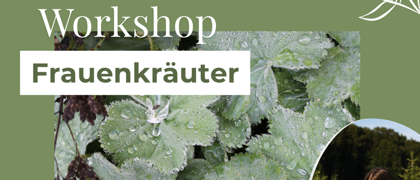 Workshop am 29. August 2026 von 9 bis 11:30 Uhr. Lerne, welche Kräuter deinem Körper guttun können. Meld dich bei Frauenmantel, Schafgrabe & Co.