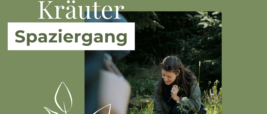 Nimm am 11.09.2026 um 18 Uhr an der Kräuterwanderung teil. Entdecke lokale Wildkräuter und lerne, wie man sie verwendet.