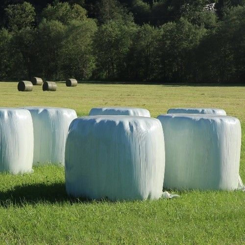 Ein Grasfeld mit mehreren weißen und grünen Heuballen und einer Baumreihe im Hintergrund.