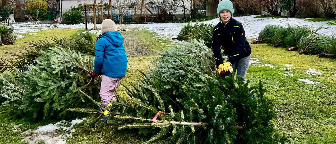 Zwei Kinder sind draußen im Winter und sammeln gefallene Weihnachtsbäume ein. Eines hält einen Baum, während das andere Äste sammelt. Schnee liegt auf dem Boden und ein Haus ist im Hintergrund sichtbar.