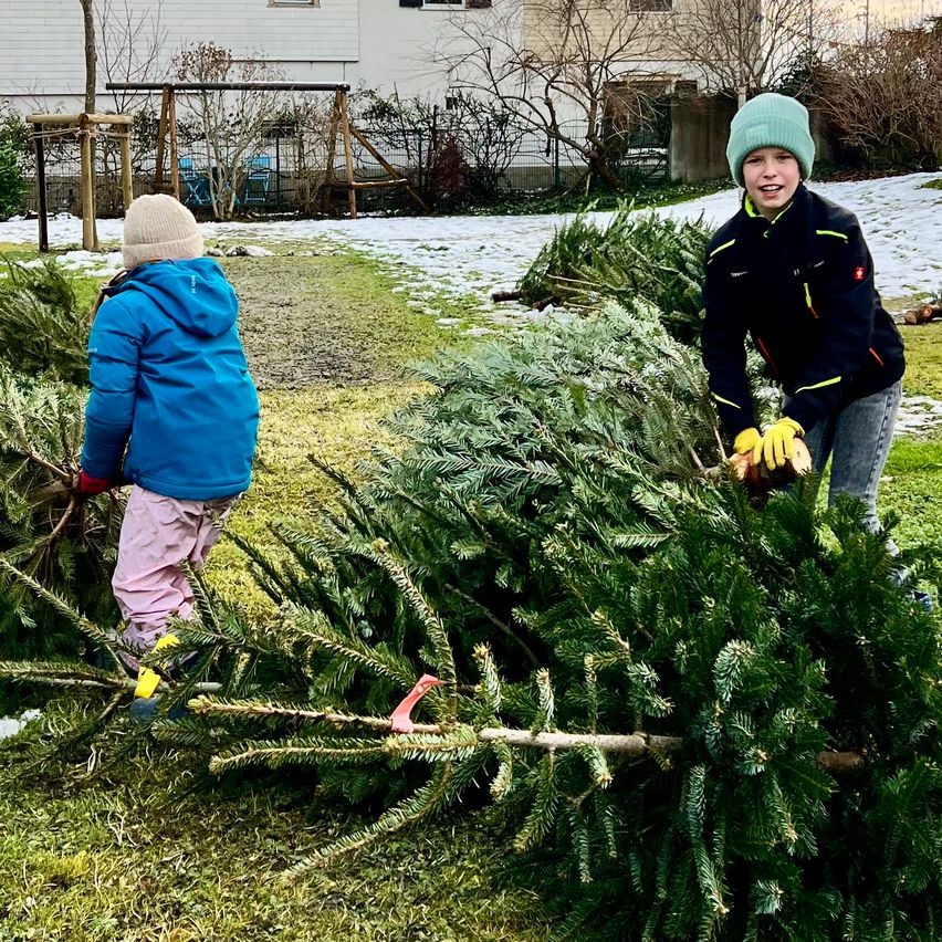 Zwei Kinder im Freien im Winter. Einer hält einen Baum, während der andere ihn schneidet. Sie sind in warme Kleidung gekleidet.