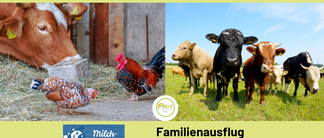 Ein Familienausflug zum Bauernhof mit Kühen, Hühnern und einem Hahn. Der Bauernhof hat einen gelben Hintergrund und ein Logo.