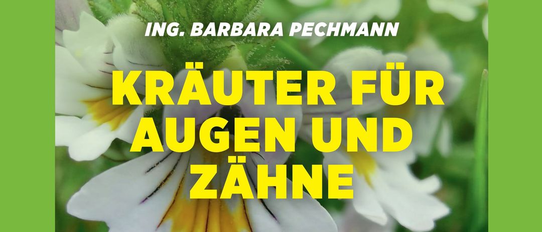 Plakat für eine Veranstaltung über Kräuter für Augen und Zähne von Ing. Barbara Pechmann, am Donnerstag, 27. November 2025, um 19 Uhr. Ort: Pfarrsaal Lieboch, Hitzendorferstrasse 1.