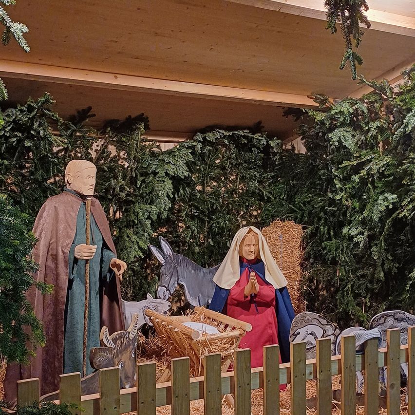 Eine Krippe mit Josef, Maria, Baby Jesus und Tieren in der Krippe, umgeben von immergrünen Bäumen und einem Holzzaun.