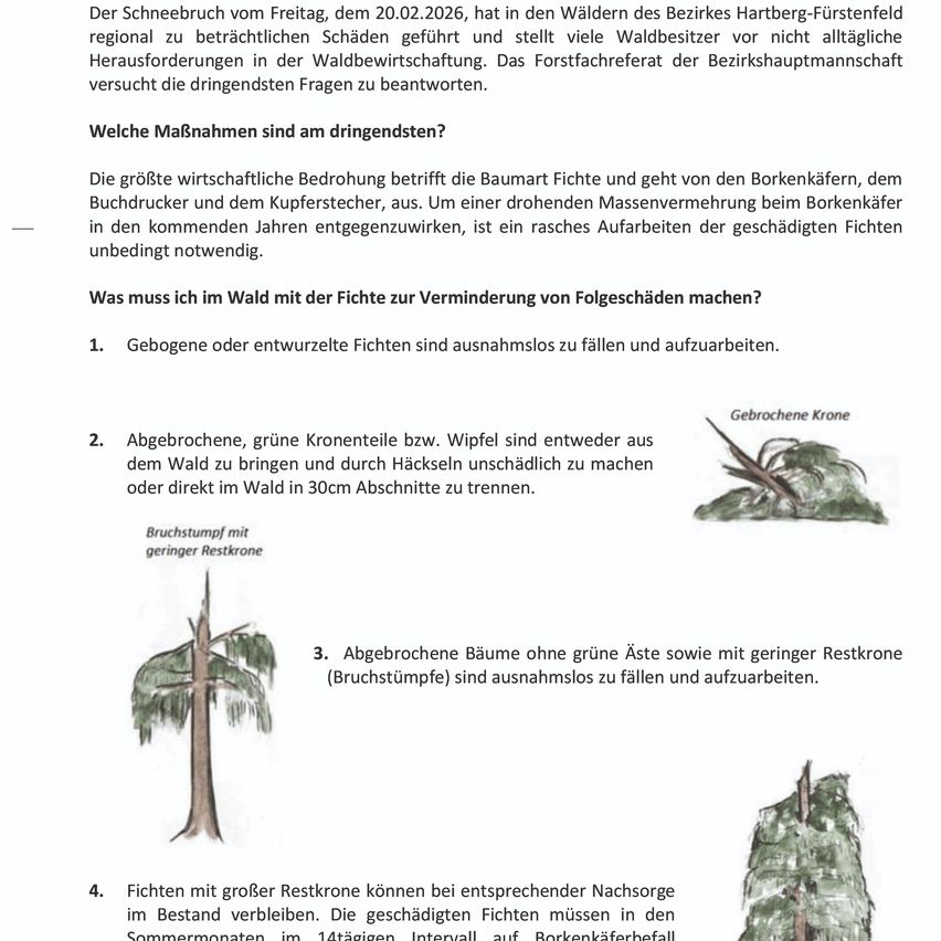 Der Schneebruch am Freitag, dem 20.02.2026, hat in den Wäldern des Bezirks Hartberg-Fürstenfeld regional zu erheblichen Schäden geführt und stellt viele Waldbesitzer vor nicht alltägliche Herausforderungen in der Waldbewirtschaftung. Das Forstfachreferat der Bezirkshauptmannschaft versucht die dringendsten Fragen zu beantworten.